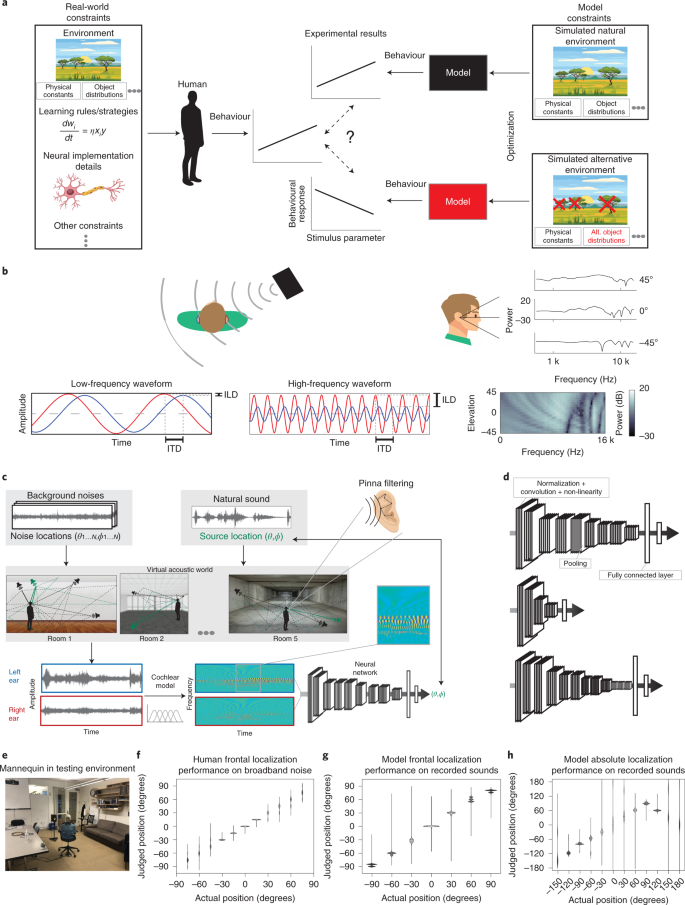 social connection  the influence of relationships on brain health and neural adaptation