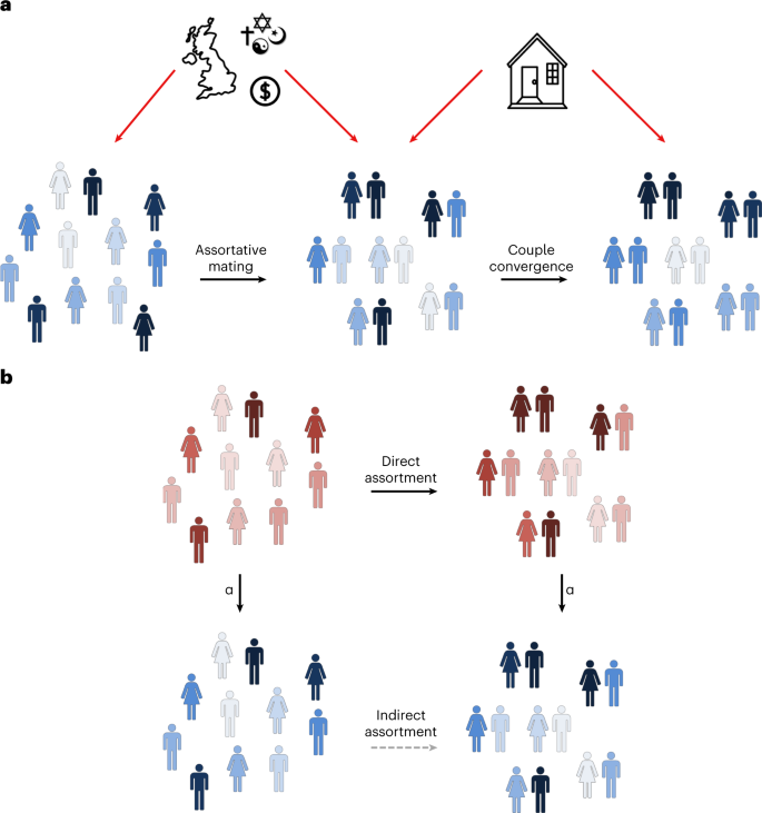 the similarity thesis is based on which similarities between partners figure 1