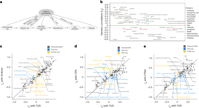 Multi-ancestry meta-analysis of tobacco use disorder identifies 461  potential risk genes and reveals associations with multiple health outcomes 