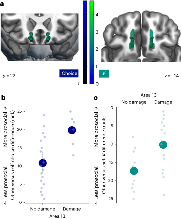 Fig. 7: Lateral vmPFC damage is associated with relatively increased prosocial behaviour within the vmPFC patient group.