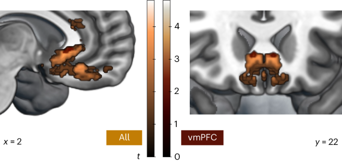 Fig. 8: Damage to medial and lateral portions of vmPFC decreases sensitivity to reward.