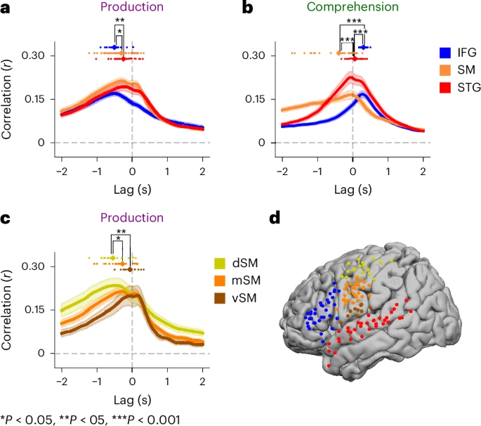 Fig. 7: Temporal dynamics of speech production and speech comprehension across different brain areas.