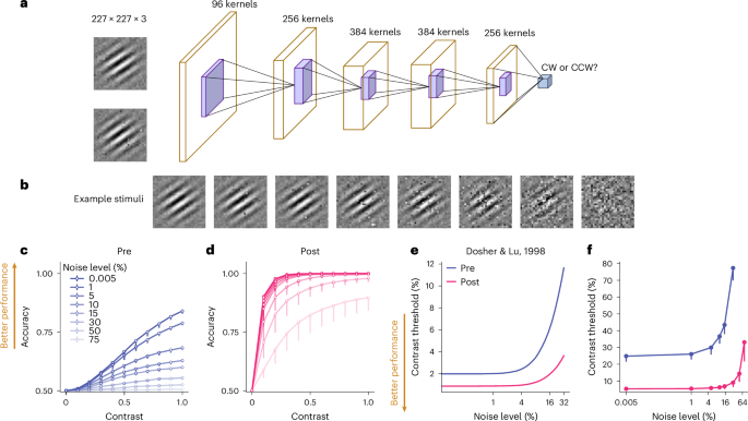 Fig. 1: DCNN Modelling of orientation VPL.