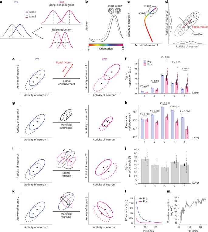 Fig. 3: Four possible mechanisms of VPL in neural populations.