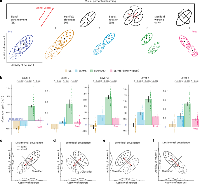 Fig. 4: Information decomposition in neural populations.