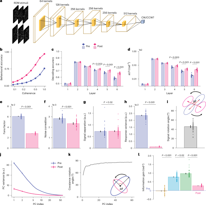 Fig. 5: DCNN modelling of motion VPL.