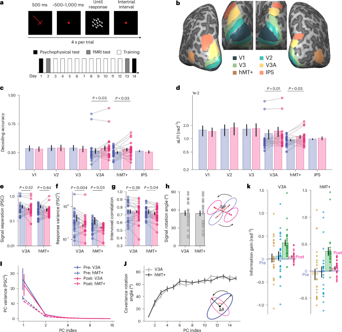 Fig. 6: Motion VPL induces neural geometry changes in the human brain.