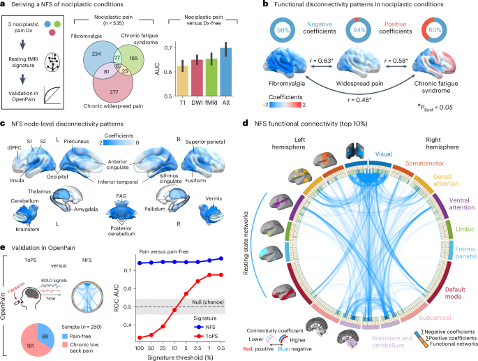 Fig. 3: Deriving and validating a multivariate functional connectivity signature of nociplastic pain.
