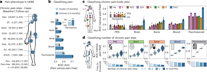 Fig. 4: Classifying chronic pain phenotypes using biological and psychosocial modalities.