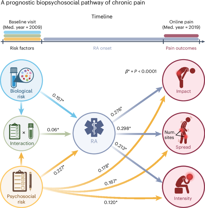 Fig. 6: A holistic biopsychosocial framework for the development of chronic pain.