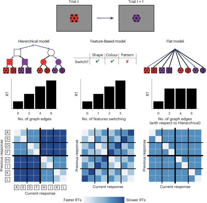 Mental graphs structure the storage and retrieval of visuomotor ...