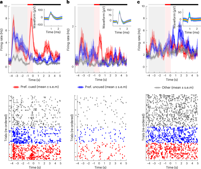 Fig. 3: Examples of activity from image-selective cells recorded during the double retro-cue task.