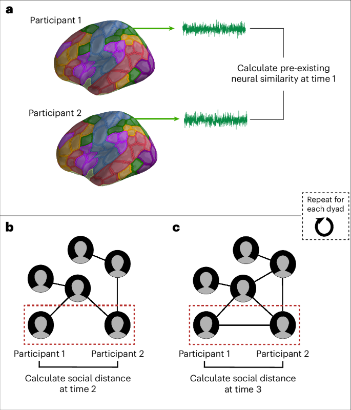 Fig. 2: Calculation of neural similarity and social distance.