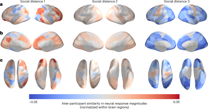 Fig. 3: Pre-existing neural similarities averaged within levels of social distance measured eight months later.