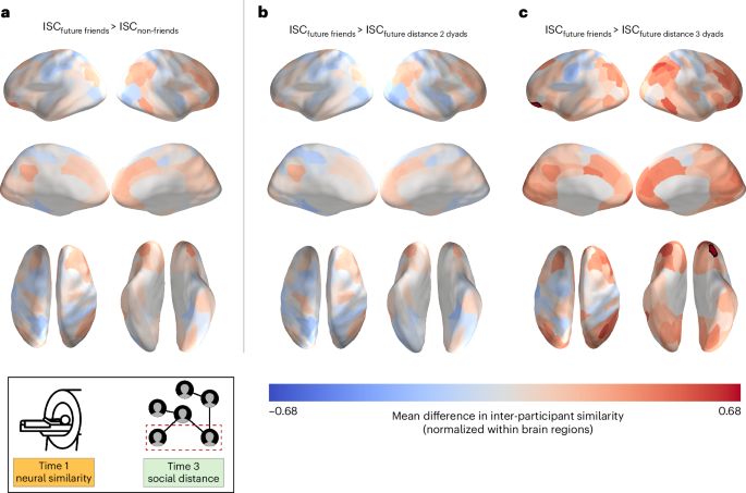Fig. 4: People who became friends with each other showed greater pre-existing neural similarity than those who ended up three degrees of separation from each other eight months later.