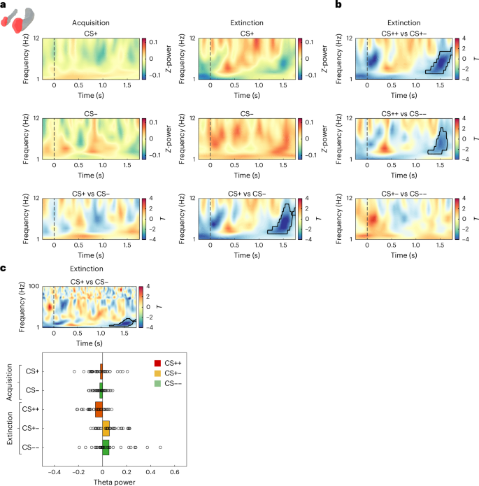 Fig. 2: Higher theta power in the amygdala for CS− than for CS+ trials during extinction.