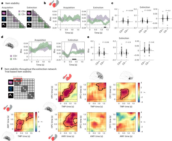 Fig. 3: Item stability in lateral temporal cortex, amygdala and across the extinction network.