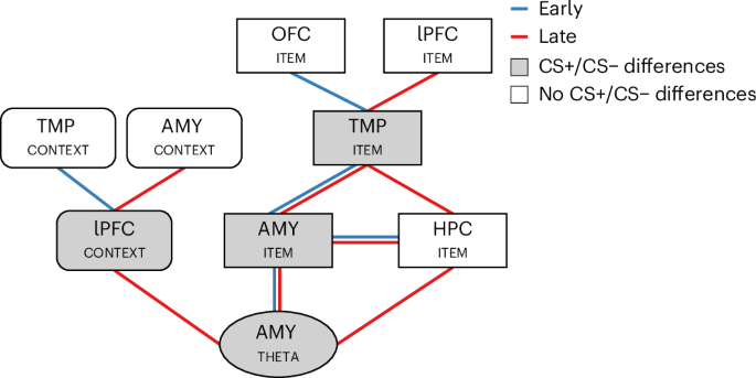 Fig. 8: Summary of the main results during extinction learning.