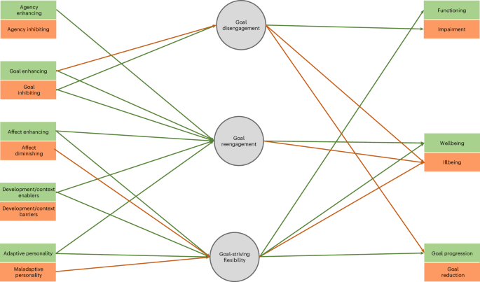 Fig. 2: Integrative model of goal adjustment.