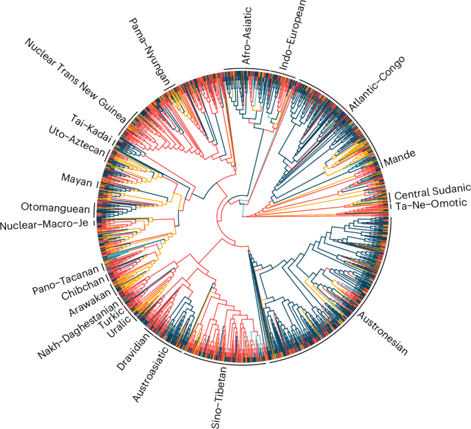 Shared universal pressures in the evolution of human languages | Nature ...