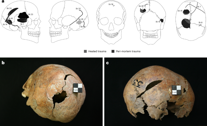 A large mass grave from the Early Iron Age indicates selective violence  towards women and children in the Carpathian Basin | Nature Human Behaviour