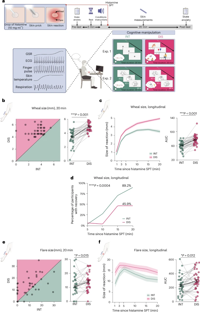 Fig. 1: Voluntary attention versus distraction regulates acute cutaneous inflammation in vivo (Exp. 1).