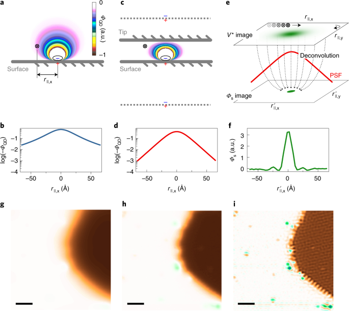 Quantitative Imaging Of Electric Surface Potentials With Single Atom Sensitivity Nature Materials