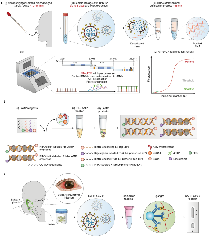 Diagnostics and analysis of SARS-CoV-2: current status, recent