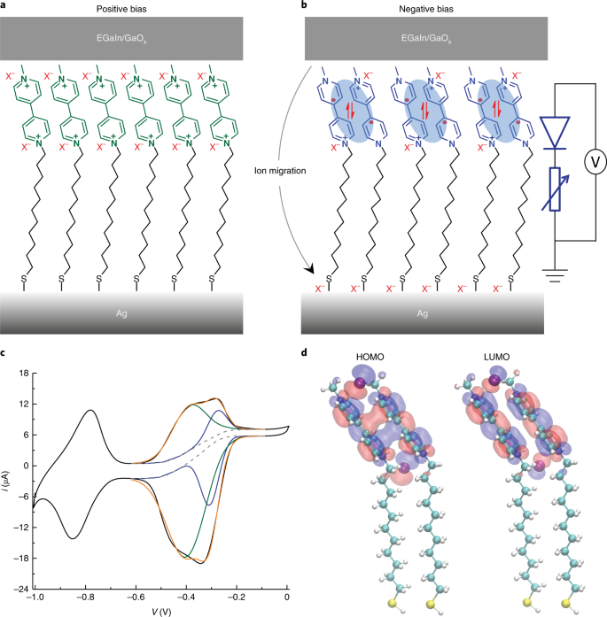 Electric-field-driven dual-functional molecular switches in tunnel  junctions | Nature Materials