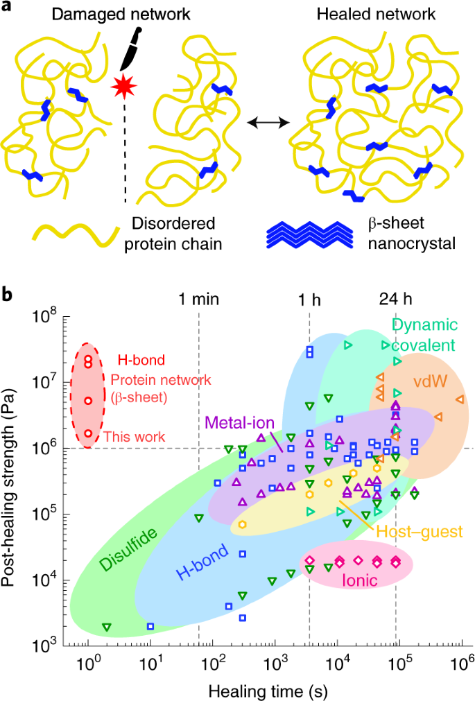 Biosynthetic self-healing materials for soft machines | Nature 