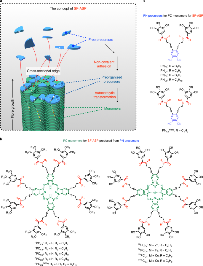 solvent free autocatalytic supramolecular polymerization nature materials