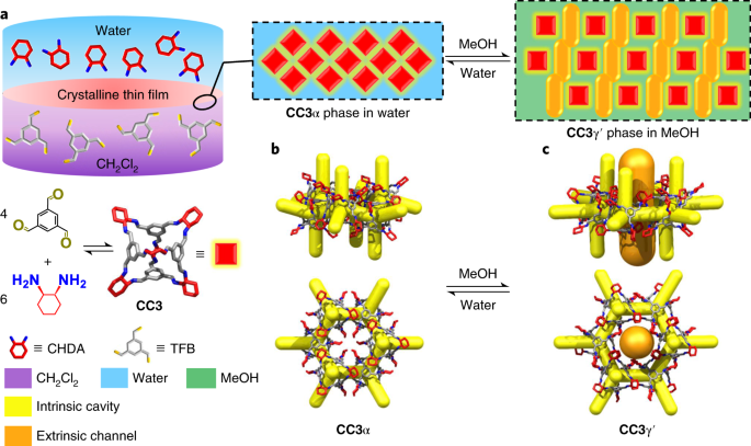 Fig. 1: Synthesis of a crystalline CC3 film and its crystal structures.