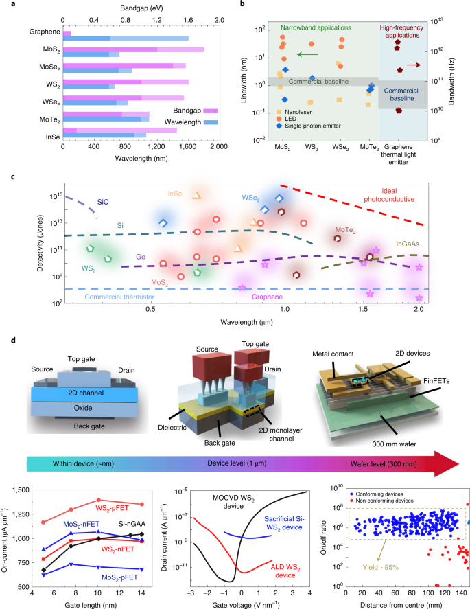 Two-dimensional devices and integration towards the silicon lines 