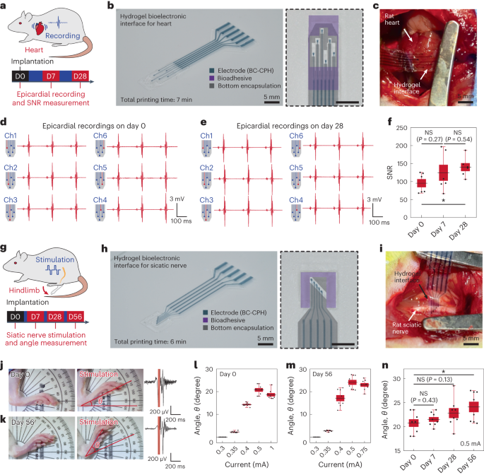 3D printable high-performance conducting polymer hydrogel for all 
