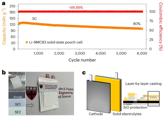 Fast cycling of lithium metal in solid-state batteries by 