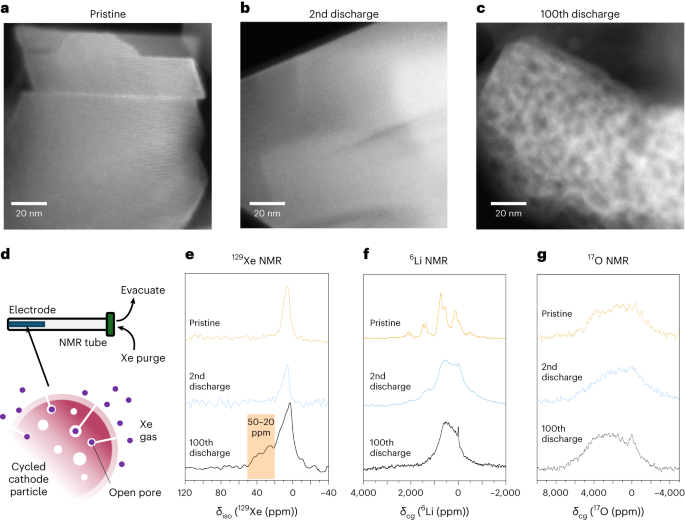 Fig. 4: Formation of voids and large diamagnetic Li-rich regions over cycling.