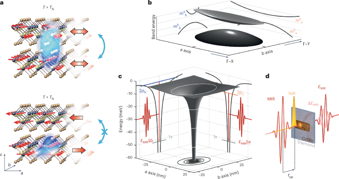 Fig. 1: Accessing the internal structure of anisotropic excitons in CrSBr.