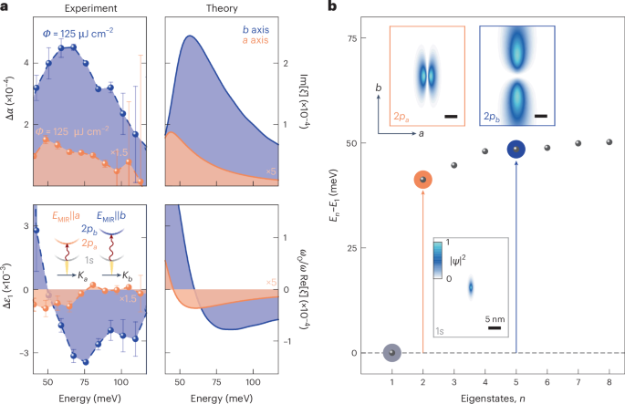 Fig. 2: Fine structure of quasi-1D excitons in CrSBr.