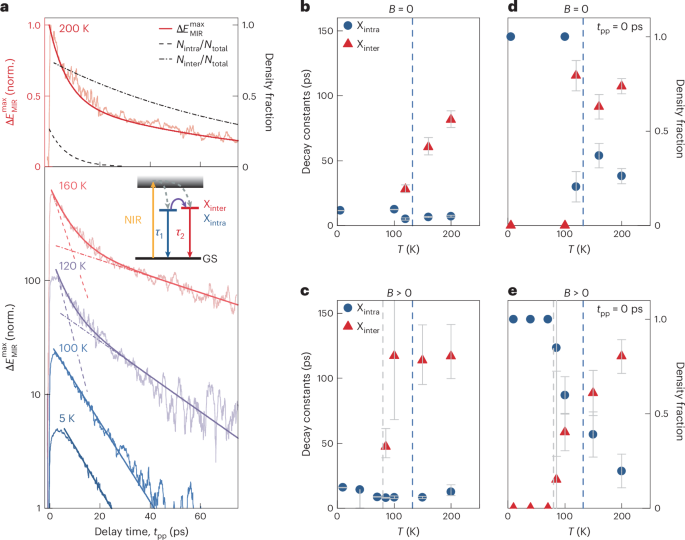 Fig. 4: Ultrafast recombination dynamics and coexistence of different excitonic species.
