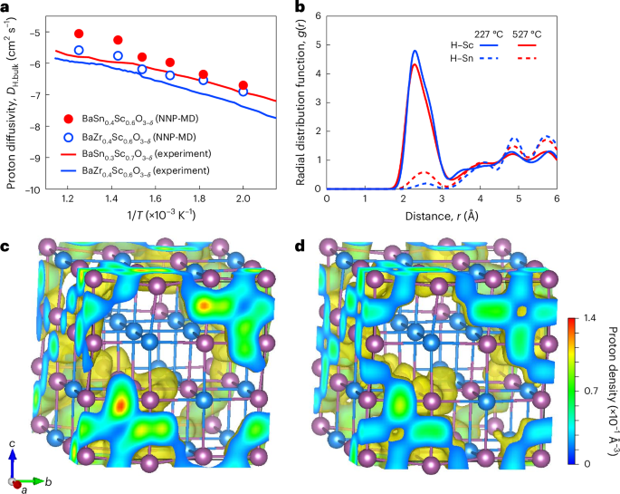 Fig. 3: Proton diffusion and its trajectory in 60 at.% Sc-doped barium stannate.