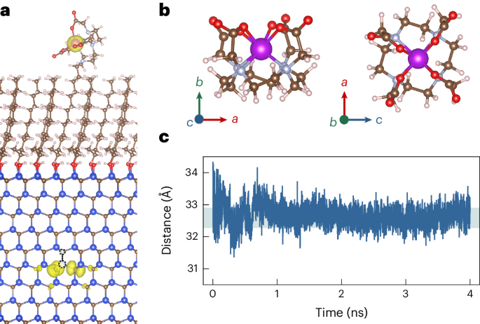 Fig. 3: Spin interaction model between the Gd-DO3A complex and a near-surface divacancy in the carbon-chain interface.