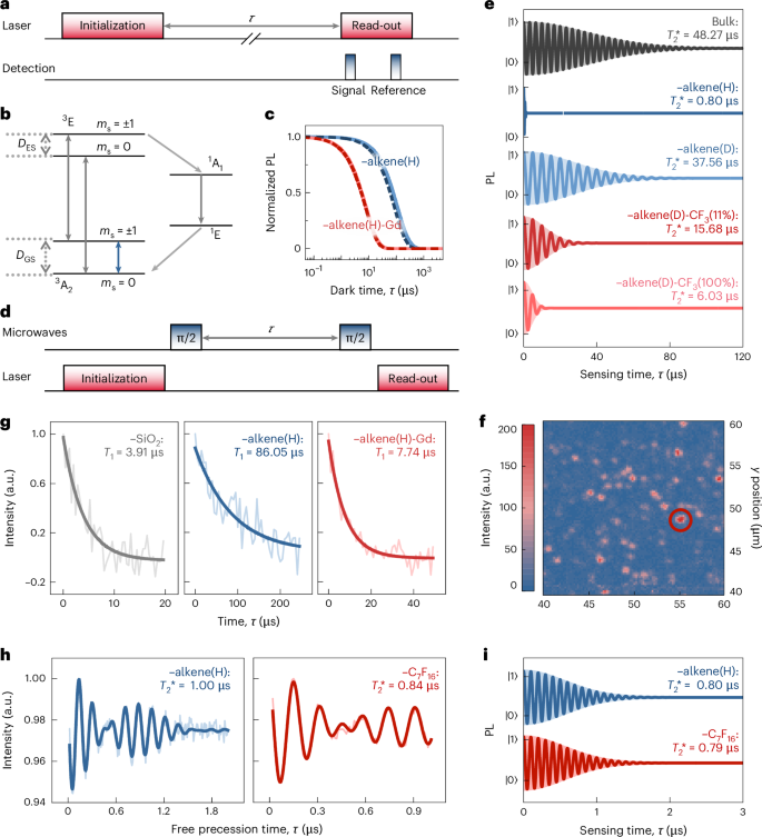 Fig. 4: Spin relaxation and dephasing characteristics of near-surface divacancy quantum sensors in functionalized 4H-SiC.