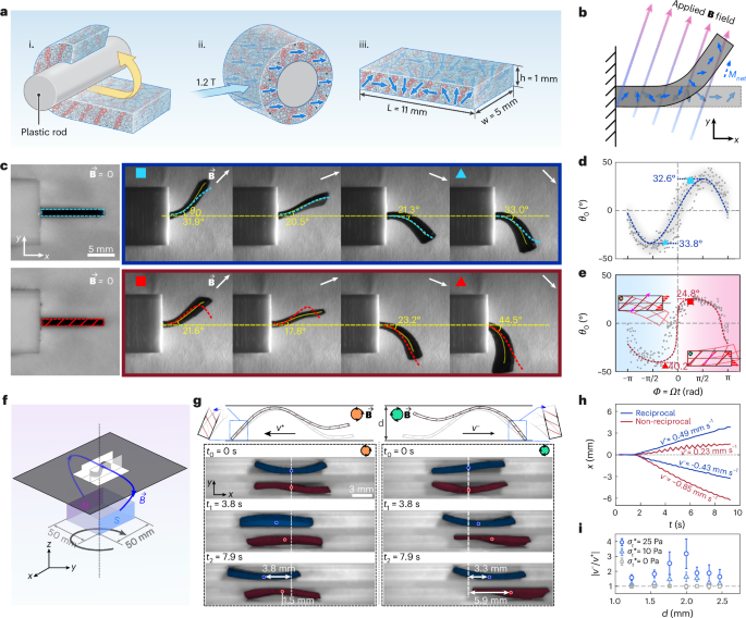 Grafikon a felhasználói hitelesítési folyamatokról és adatbiztonságról