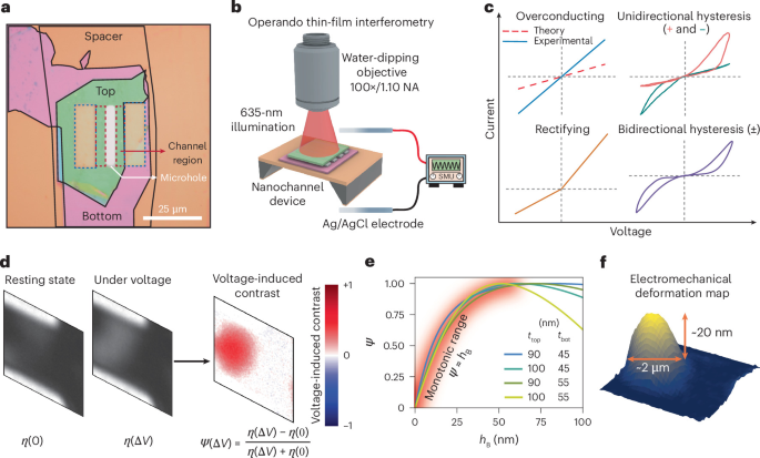 Operando microscopy geometry, voltage-dependent transport classes and thin-film interference calibration for layered hBN–graphene–hBN channels.