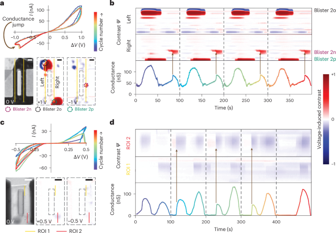 Time-resolved image contrast identifies which local blister produces a conductance jump and explains stochastic changes across repeated voltage cycles.