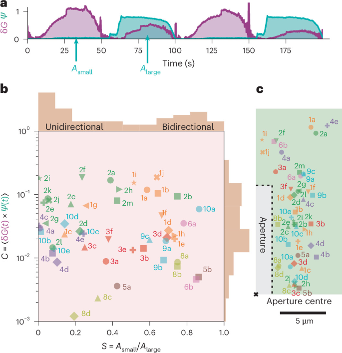 Statistical classification of fifty blisters across nine devices using deformation symmetry and conductance correlation.