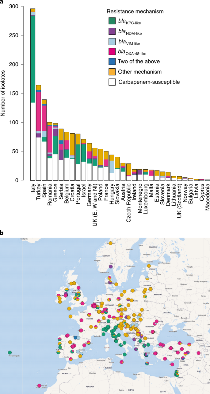 Epidemic of carbapenem-resistant Klebsiella pneumoniae in Europe is driven  by nosocomial spread | Nature Microbiology