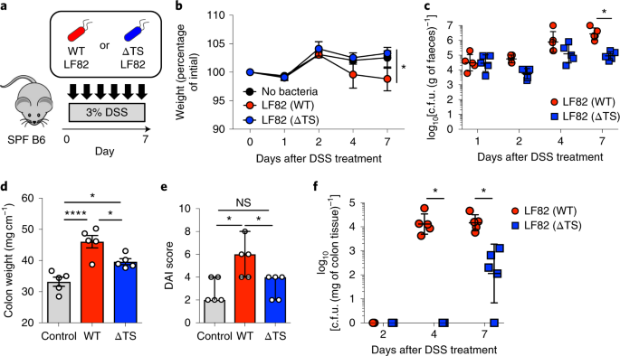 Dietary L Serine Confers A Competitive Fitness Advantage To Enterobacteriaceae In The Inflamed Gut Nature Microbiology Dietary L Serine Confers A Competitive Fitness Advantage To Enterobacteriaceae In The Inflamed Gut Nature Microbiology