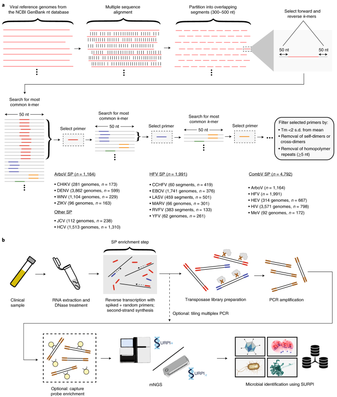 Pickering sofistikeret Grundlægger Metagenomic sequencing with spiked primer enrichment for viral diagnostics  and genomic surveillance | Nature Microbiology