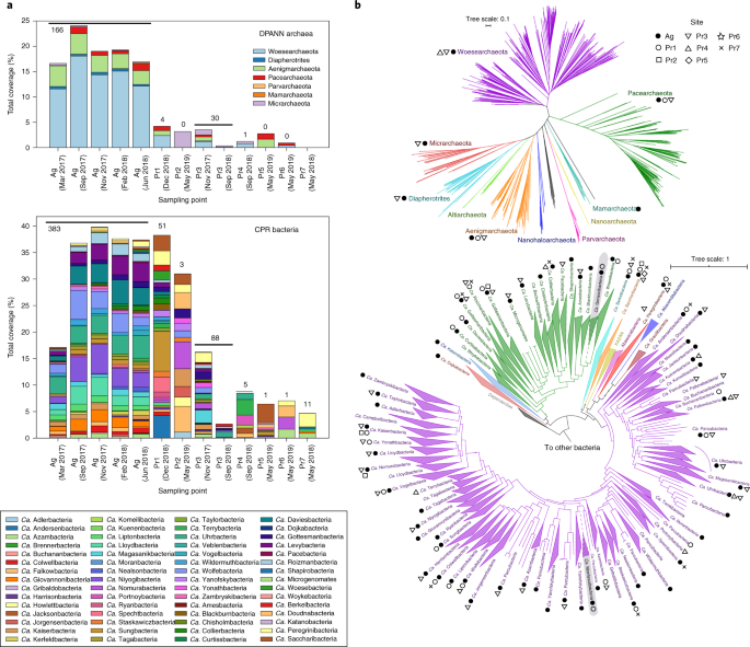 Fig. 2: Distribution of CPR and DPANN organisms across groundwater sites.